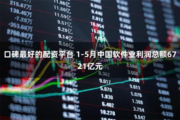 口碑最好的配资平台 1-5月中国软件业利润总额6721亿元