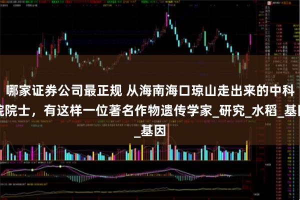 哪家证券公司最正规 从海南海口琼山走出来的中科院院士，有这样一位著名作物遗传学家_研究_水稻_基因