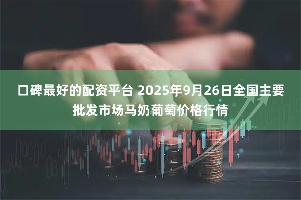 口碑最好的配资平台 2025年9月26日全国主要批发市场马奶葡萄价格行情