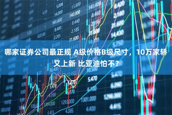 哪家证券公司最正规 A级价格B级尺寸，10万家轿又上新 比亚迪怕不？