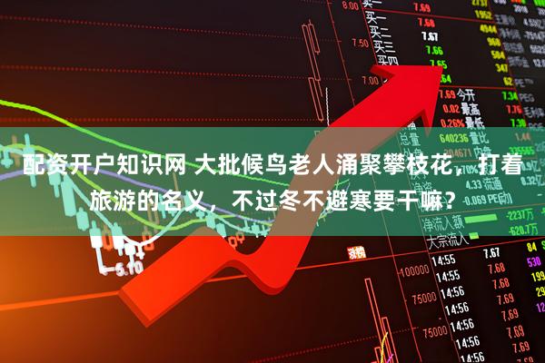 配资开户知识网 大批候鸟老人涌聚攀枝花，打着旅游的名义，不过冬不避寒要干嘛？